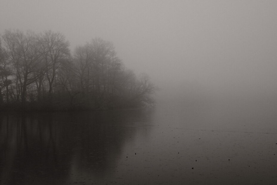 Gefrorener Entenfangsee im Nebel