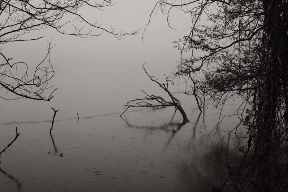 Gefrorener Entenfangsee im Nebel