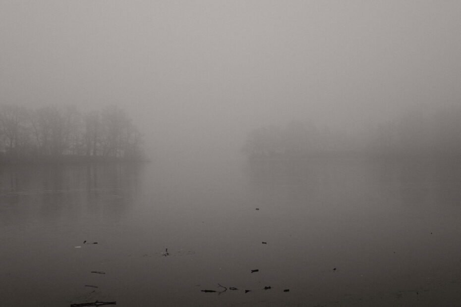 Gefrorener Entenfangsee im Nebel