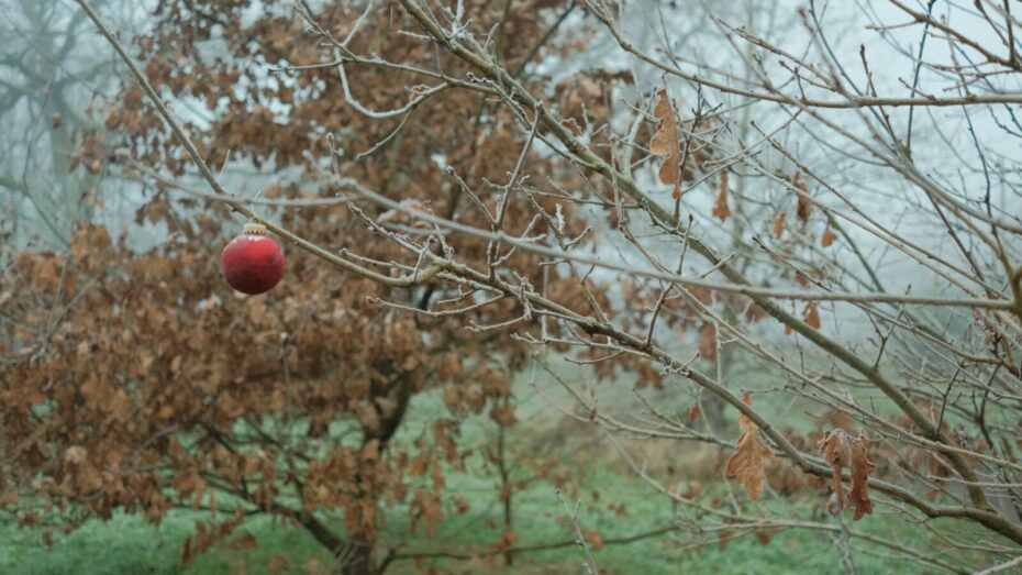 Einsame Christbaumkugel an einem laubfreien, reifbedecktem Ast eines Baumes am Entenfangsee