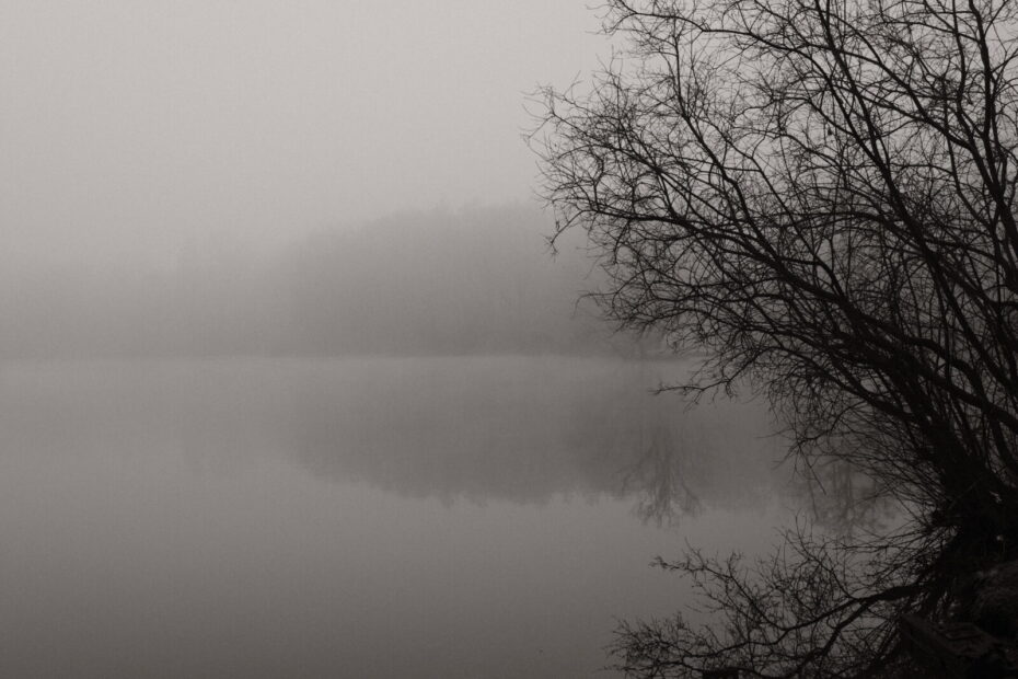 Gefrorener Entenfangsee im Nebel