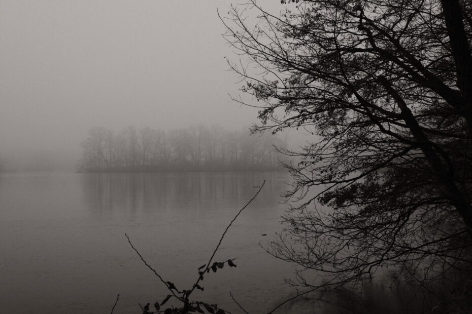 Gefrorener Entenfangsee im Nebel