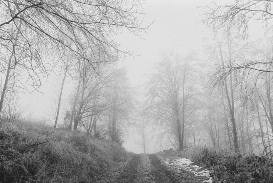 Waldweg mit Fahrspuren, wenige Schneereste am Wegesrand mit laublosen Bäumen im Nebel