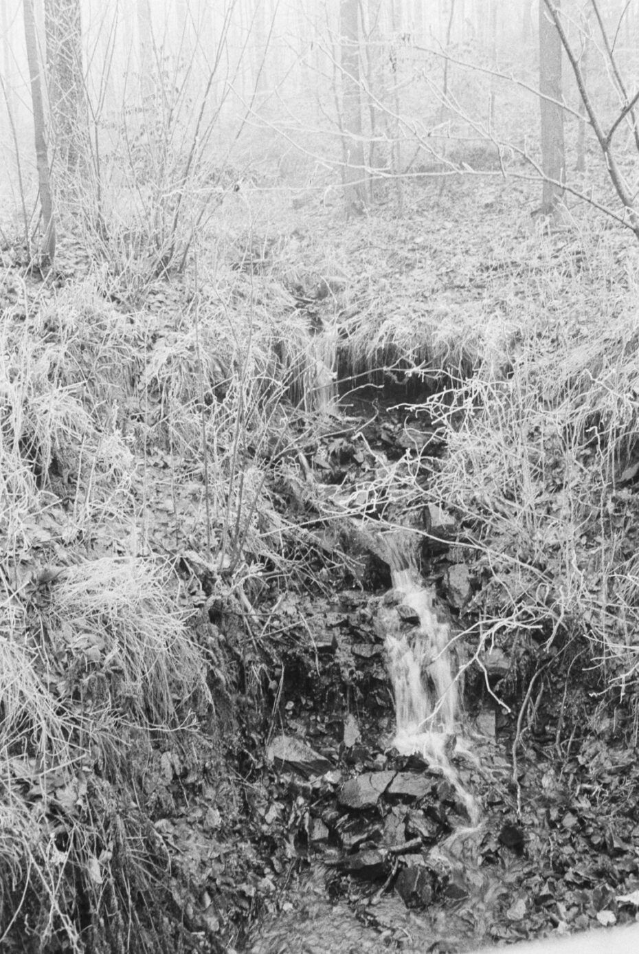 Die Uffe, kurz nach ihrer Quelle fließt in Stufenform den Berg hinunter, der Lauf mit kleinen Wasserfällen aus Stein, links und rechts Gras