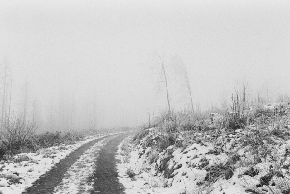 Verschneiter Weg im Harz der eine Rechtskurve macht, die Fahrspuren sind frei, links der Abhang in dessen Nebel noch Bäume zu erahnen sind, rechts zwei einzelne kleine Bäume und Gras