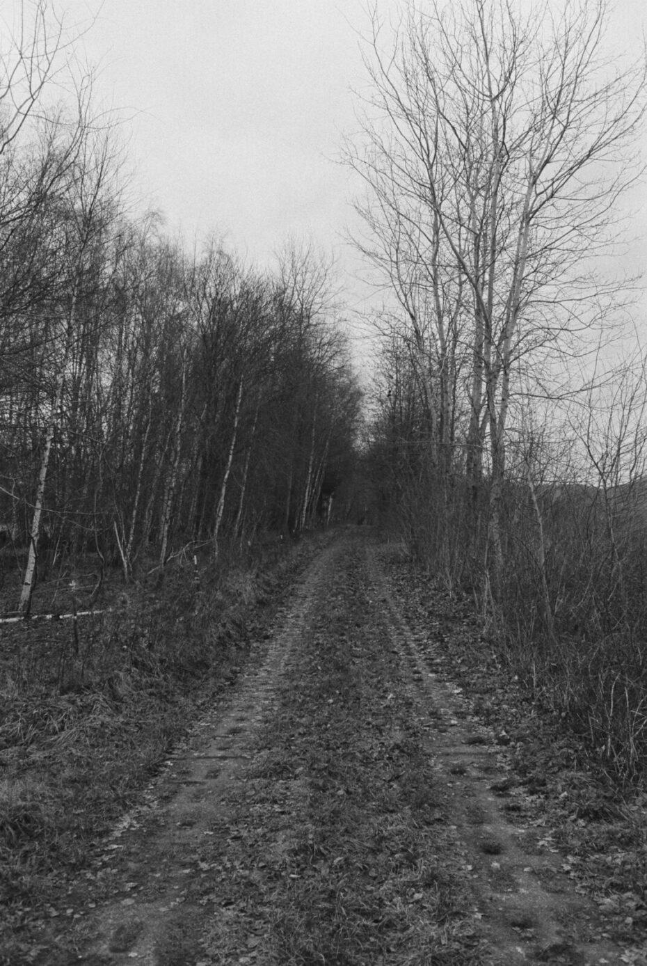 Ehemaliger Kolonnenweg entlang der Grenze von Thüringen und Niedersachsen