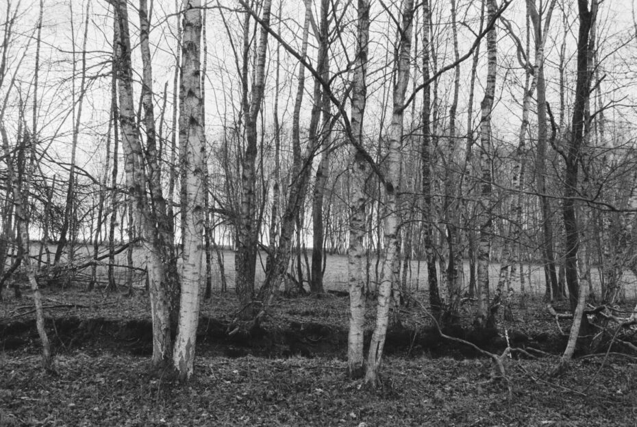 Von Bäumen gesäumter Graben an der Grenze zwischen Thüringen und Niedersachsen