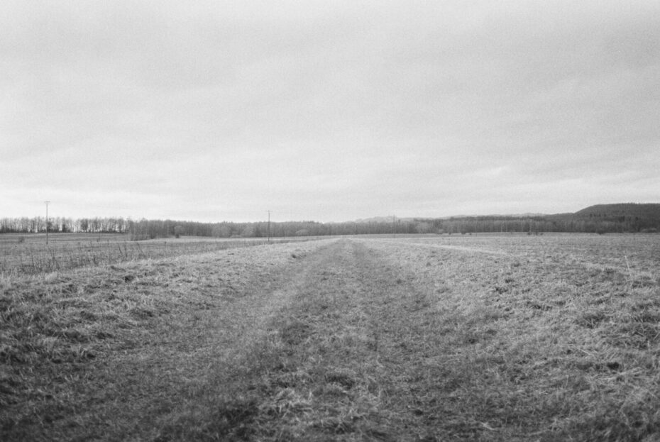 Blick über ein offenes Feld in Ellrich in Richtung Westen