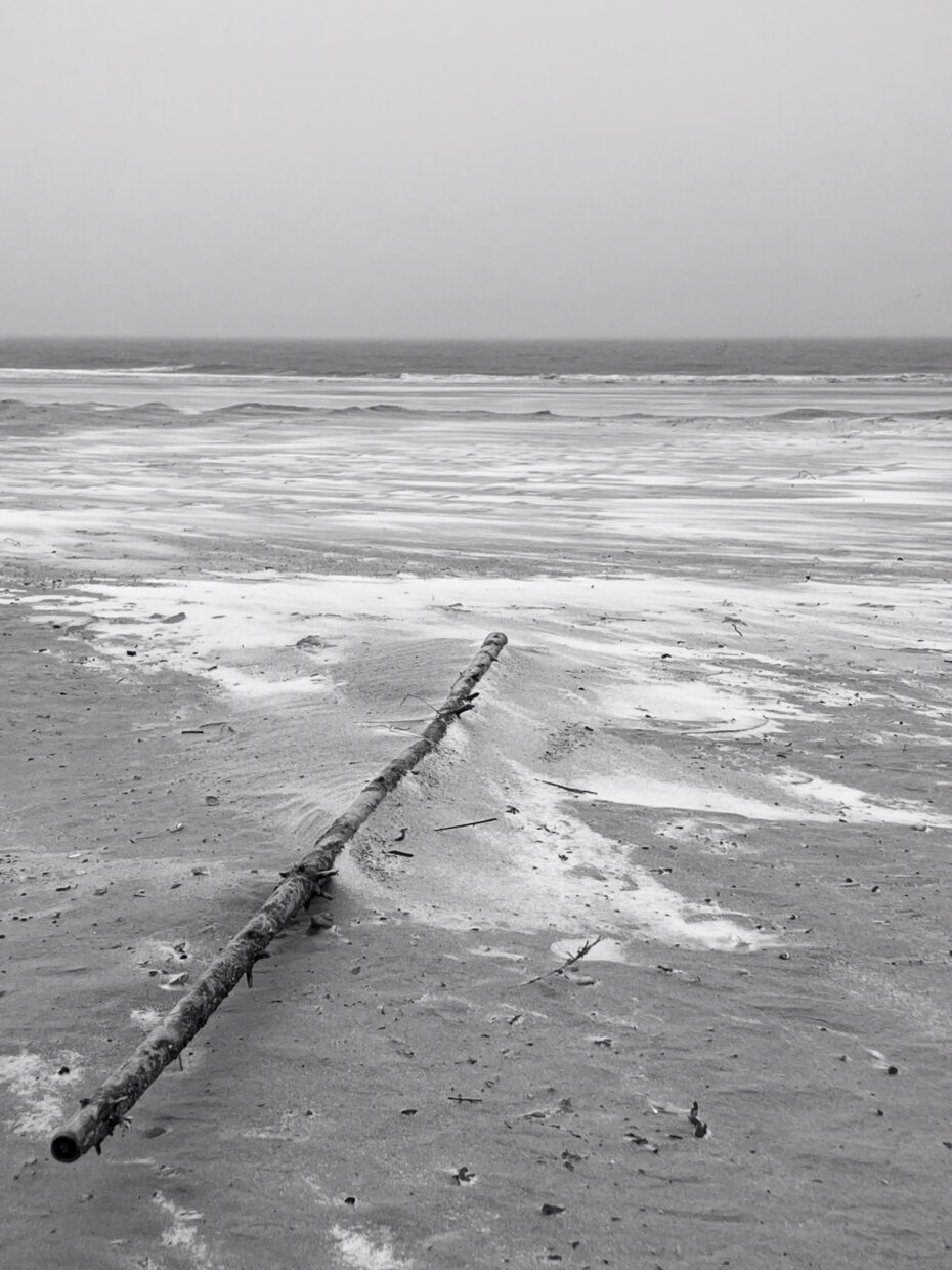 Ein Stock, der am Strand auf einem aufgeschobenen Windhaufen liegt