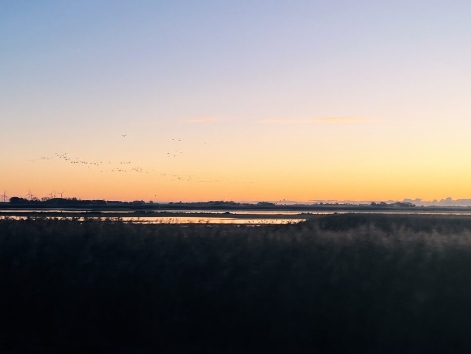 Ein Blick auf Marschland im Sonnenaufgang, am Himmel ist ein Vogelschwarm zu erkennen